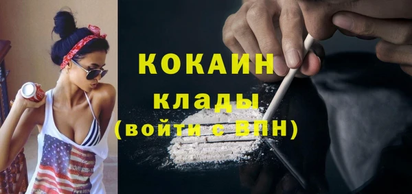 ПСИЛОЦИБИНОВЫЕ ГРИБЫ Горняк