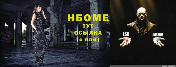 ПСИЛОЦИБИНОВЫЕ ГРИБЫ Горняк