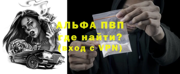 ПСИЛОЦИБИНОВЫЕ ГРИБЫ Горняк