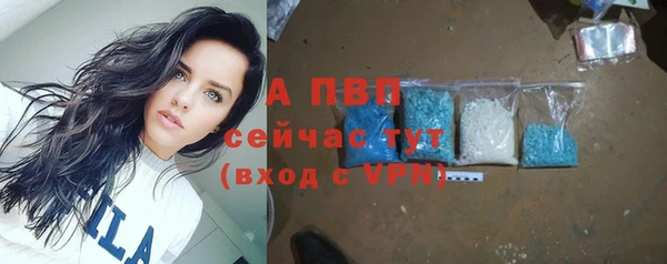 ПСИЛОЦИБИНОВЫЕ ГРИБЫ Горняк