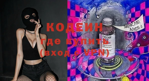 ПСИЛОЦИБИНОВЫЕ ГРИБЫ Горняк