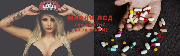 ПСИЛОЦИБИНОВЫЕ ГРИБЫ Горнозаводск