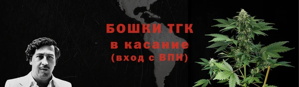 ПСИЛОЦИБИНОВЫЕ ГРИБЫ Горняк
