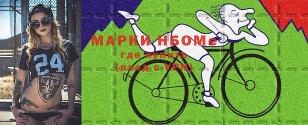 ПСИЛОЦИБИНОВЫЕ ГРИБЫ Горняк
