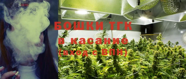 ПСИЛОЦИБИНОВЫЕ ГРИБЫ Горнозаводск