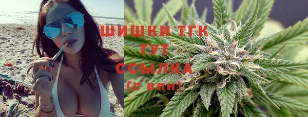 ПСИЛОЦИБИНОВЫЕ ГРИБЫ Горняк