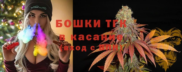 ПСИЛОЦИБИНОВЫЕ ГРИБЫ Горнозаводск