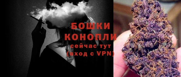 ПСИЛОЦИБИНОВЫЕ ГРИБЫ Горняк