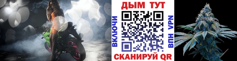 Шишки марихуана SATIVA & INDICA  Купить где  Благодарный 